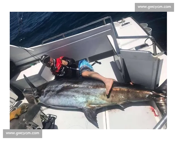 深海王者之战：剑鱼对决鲨鱼的速度力量与生存智慧较量